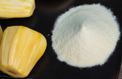 spray dried jackfruit powder spray dried jackfruit powder