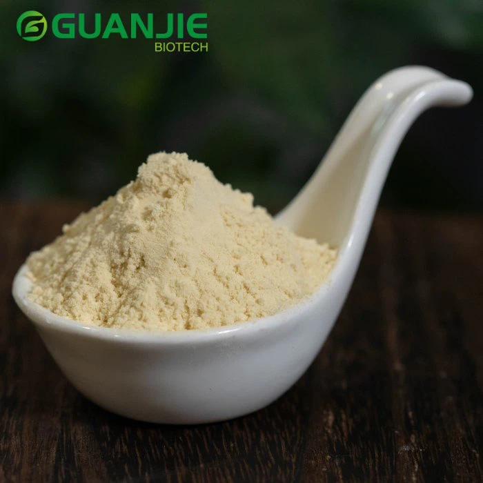 Bulk Acerola Cherry Powder 