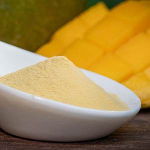 mango fruit powder bulk mango fruit powder bulk
