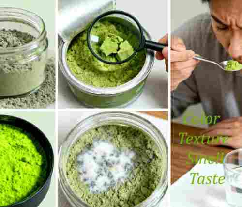 matcha pure powder matcha pure powder